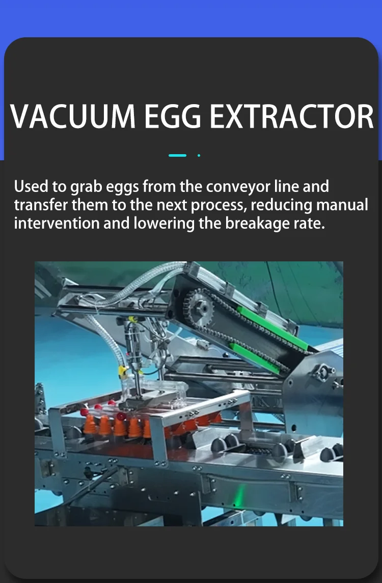 (7).png