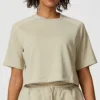 apricot Top