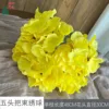 Hortensia de cinco cabezas ZYGY Amarillo