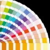 Custom Color