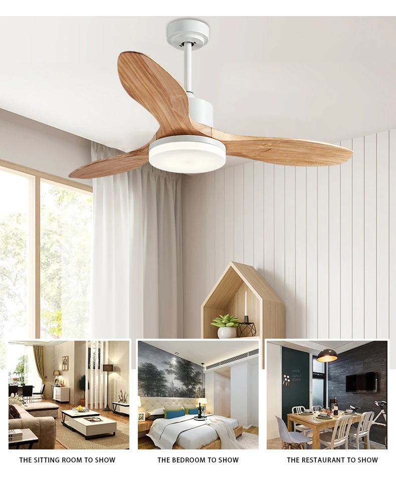 LED Ceiling Fan Light(.jpg