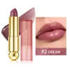 # 2 DREAM
