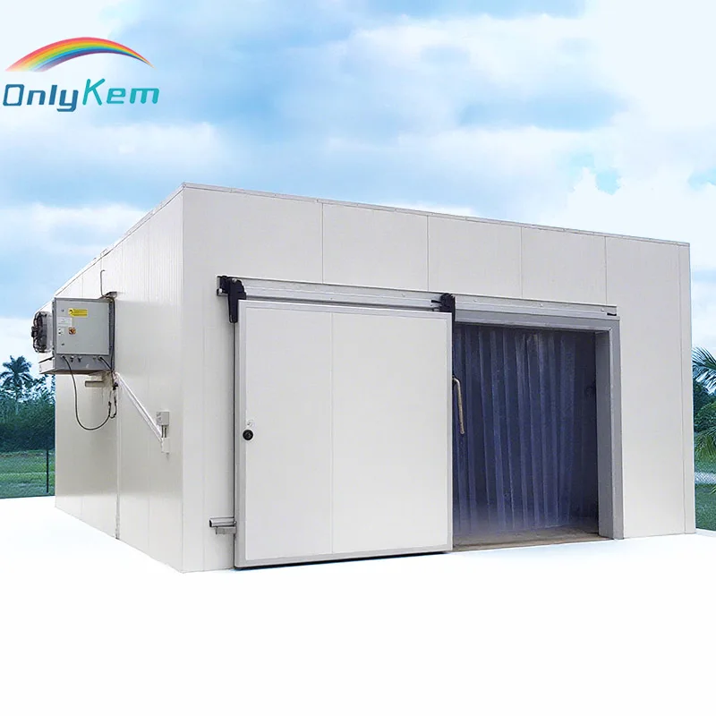 Walk in Cold Room Industrial Refrigerator Room 20x15x10ft Cold Chamber Freezer Sliding Door
