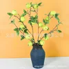 One stem containing 7 green apples [See Figure 2 for the effect]