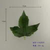 Small Peony Leaves