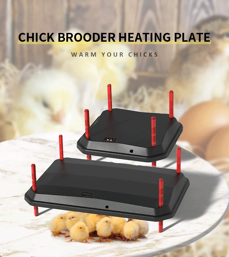Chick Brooder Heat Plate Poultry Farm Heating Equipment Poultry Heater