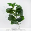 WS-Large Single-stem Bean Leaf