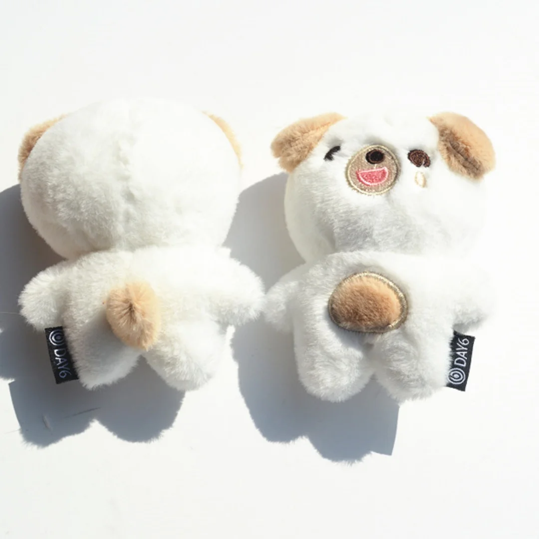 KPOP DAY6 Forever Young World Tour Plush Keychain Soft Eco