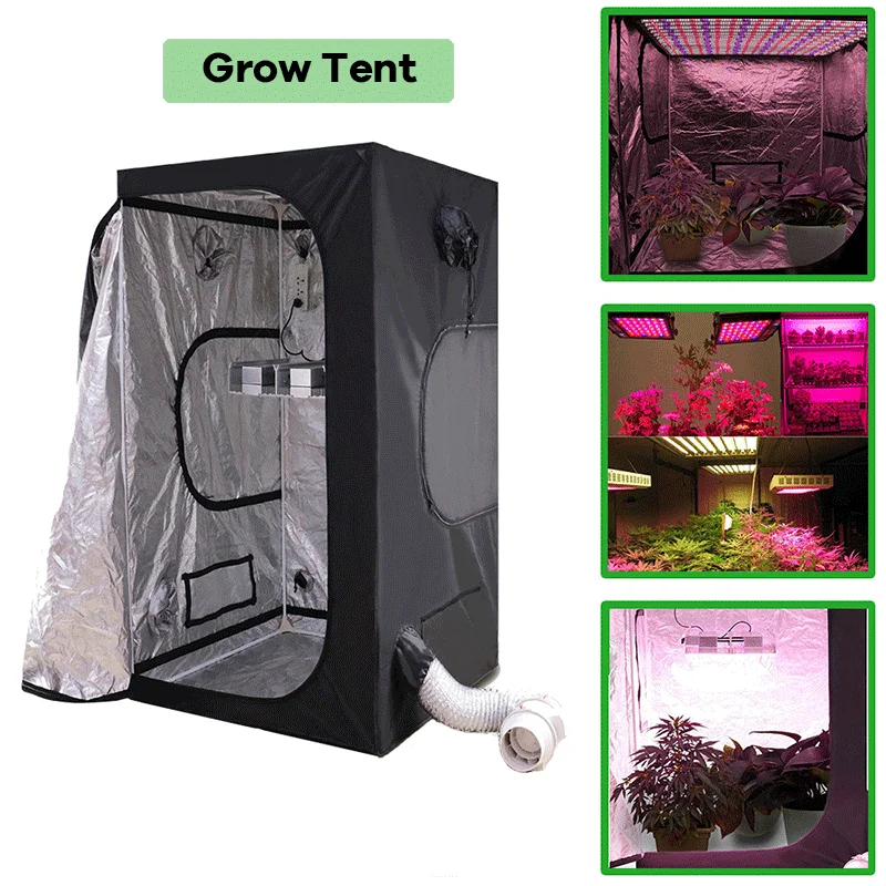 Best Grow Tent Kits