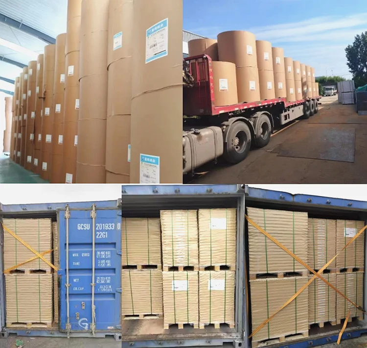 Coated Duplex/triplex Cardboard - Ideal for Printing & Packaging