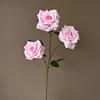 สีชมพู