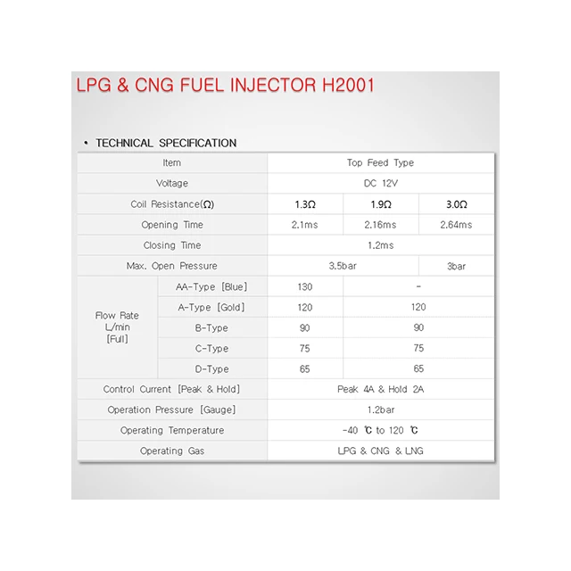 Private Label Supplement LPG Injector Conversion Kit Ready to Export Diesel Fuel Injector H2001 LPG/ CNG rail type Injector