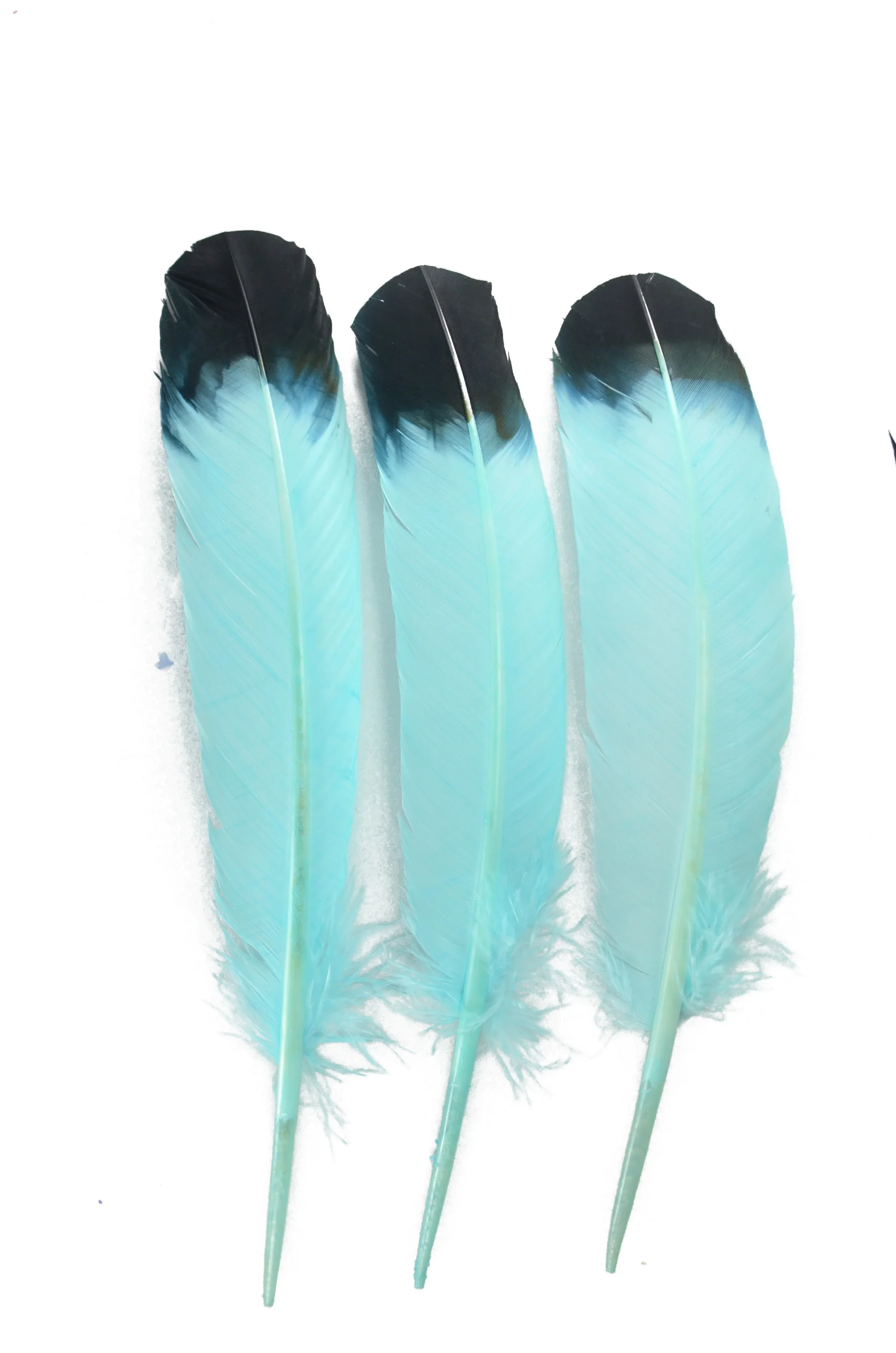 Hp16 Wholesale Cheap Large White Feathers For Sale Turkey Quill