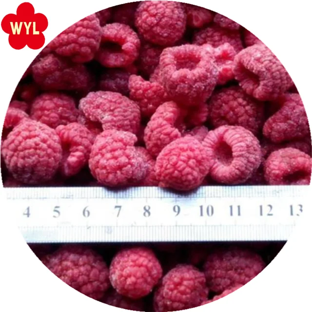 Best Price of Frozen Raspberry Whole for in Bulk Wholesales
