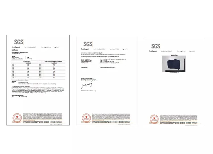certificate3.jpg