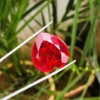 Naranja