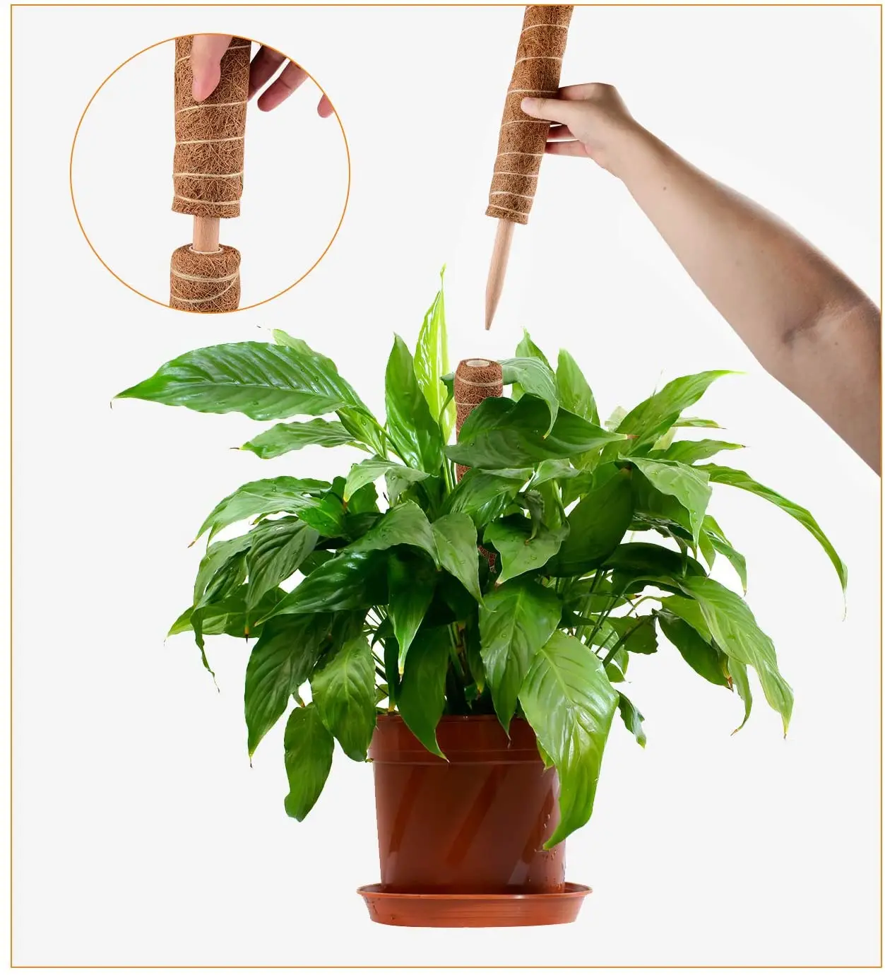 Natural Plant Support Stakes Totem Coconut Moss Poles Coco Stick