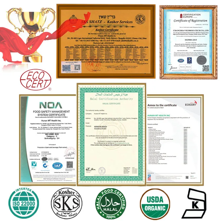 Pure Natural Ferula Communis Seed Extract 10:1 Ferula Communis Extract