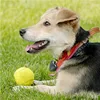 5 pelotas de tenis