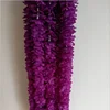 Purple 1