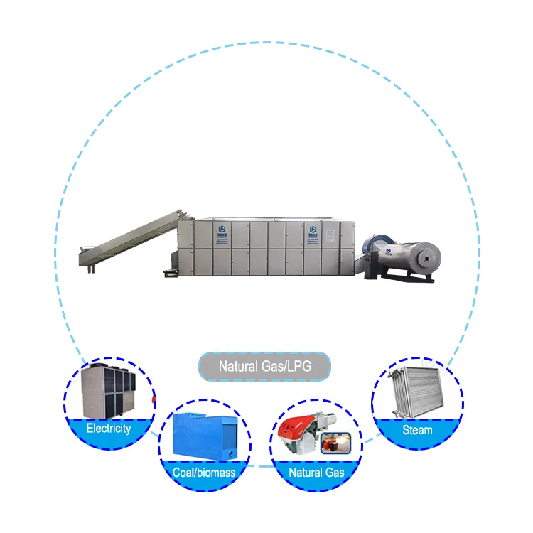 Garlic and Ginger Onion Dryer Machine Carrot Drying Equipment