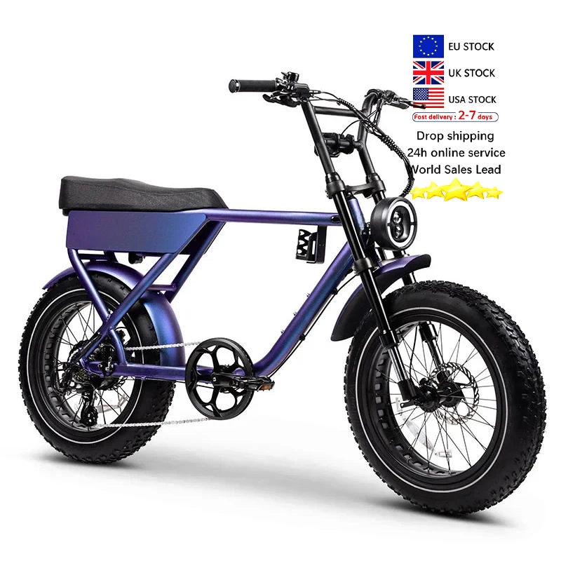 High Quality 750W V20 Electric Bikes for Adults 48V Hydraulic Disc Brake  Mountain E-Bike Good Quality Elektrische Fiets