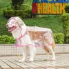 Impermeable transparente puro con ribete rojo rosado.