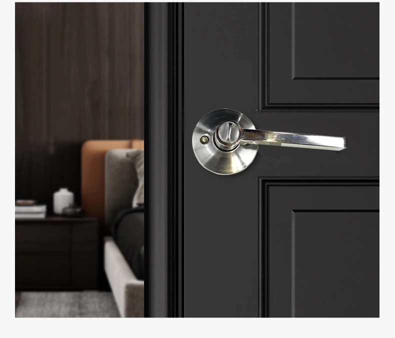 popular-design-lever-modern-interior-door-handle-on-rose-door-hardware