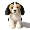 Beagle seduto 28 cm-02 kg