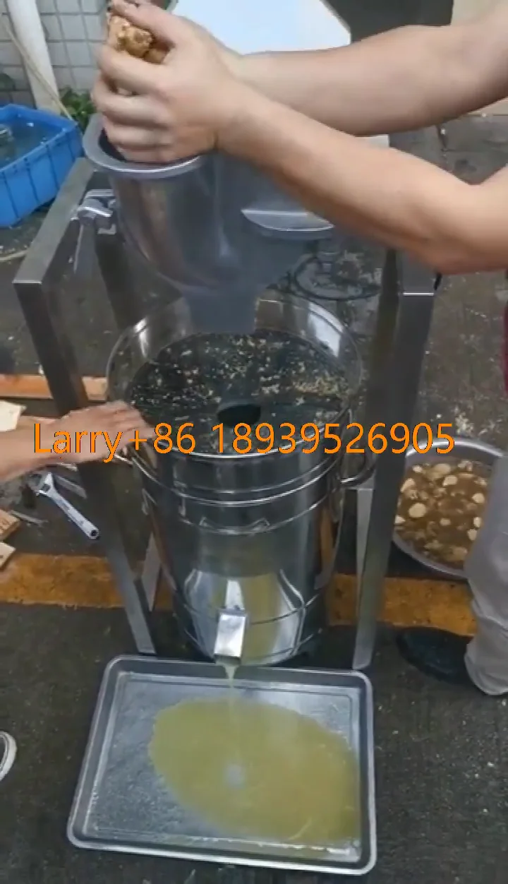 Garlic Juice And Ginger Juice Machine/beets Fruit Cold Press Slow