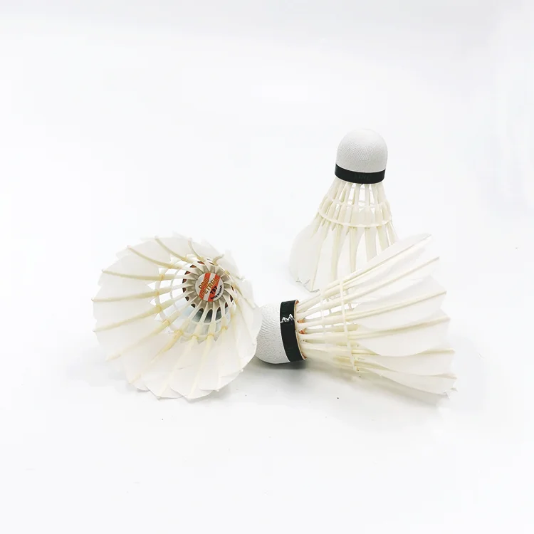 トップセラーヨーロッパ市場人気の3in1シャトルボールプロペトレル757