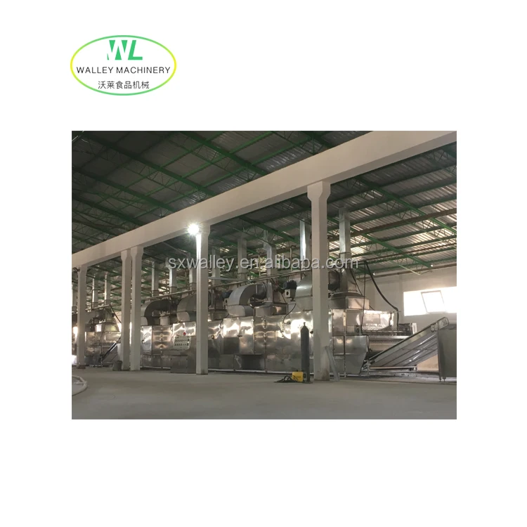 Customizing Continuous Single Layer Belt Dryer for Garlic and Onion