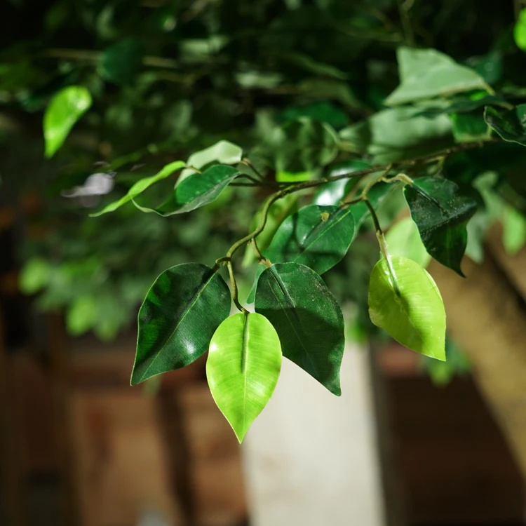 ultimo disegno di grandi alberi artificiali all'aperto grande a buon  mercato artificiale ficus albero per la decorazione del giardino