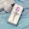 Silver purple