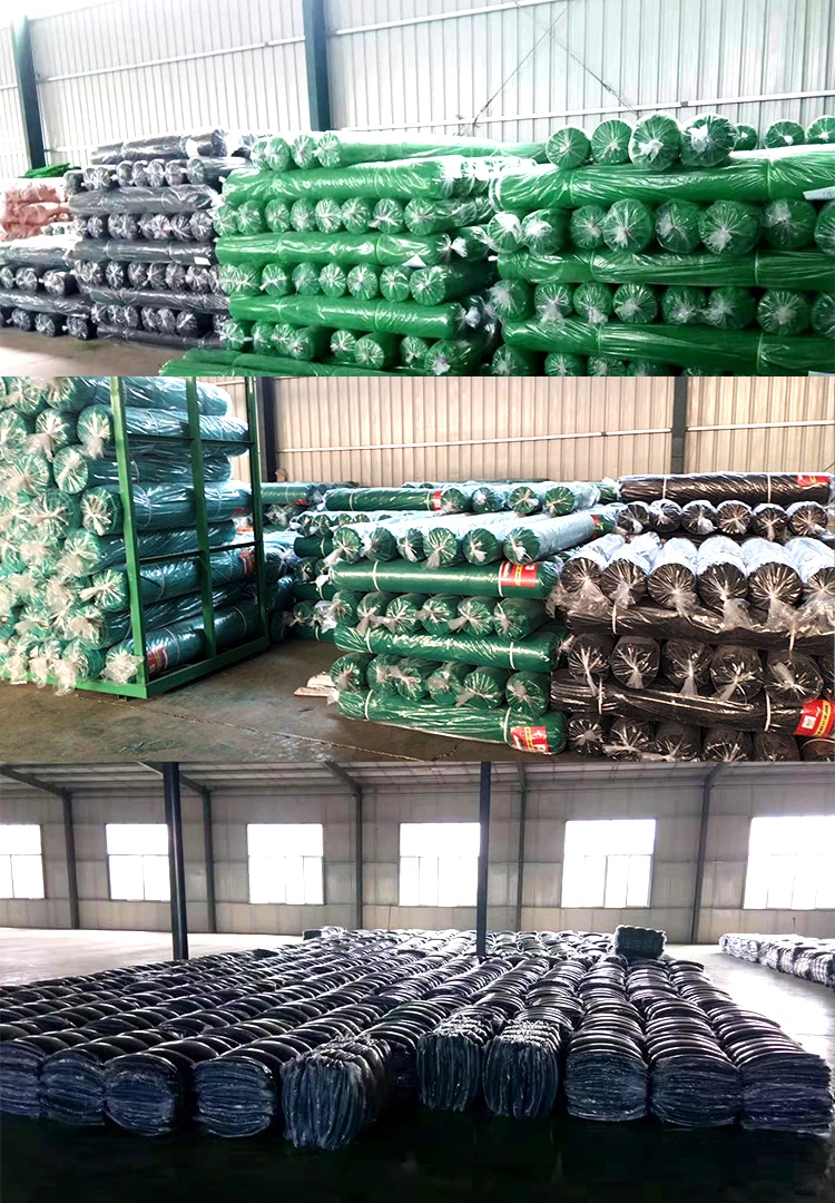 China 70gsm olive harvesting HDPEnet