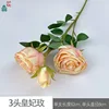 3 cabezas Imperial Rose YWJ Amarillo Champán