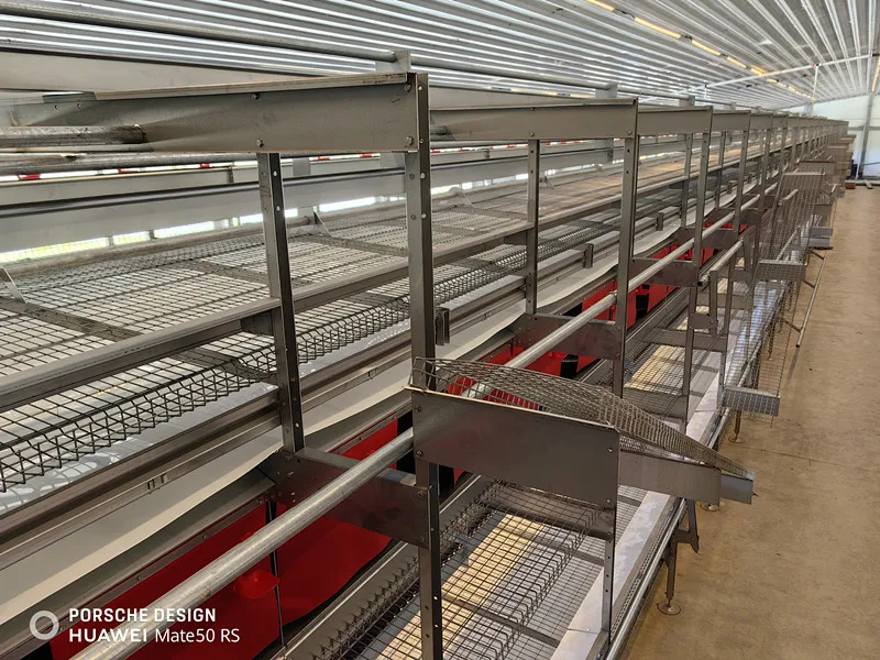 Chicken Laying Hens Nest Cage Free Poultry Farm System Egg Collection ...
