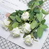 Snow Mountain Milk White (20 pieces)