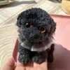 Negro