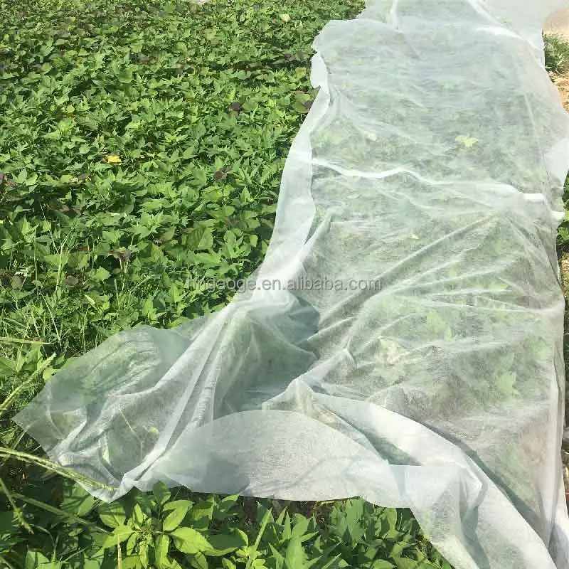Factory Price Mothproof Biodegradable Recyclable Agriculture Nonwoven Fabric for Vegetable Plant Protection Cover Keep Warm