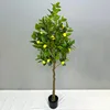 Albero di limone 150 cm
