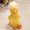 The wronged duck 25cm