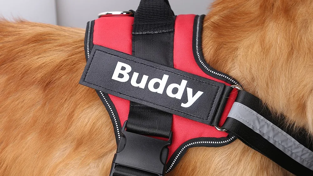 Manufacturers Amazon Custom Personalized Reflective Private Label Dog