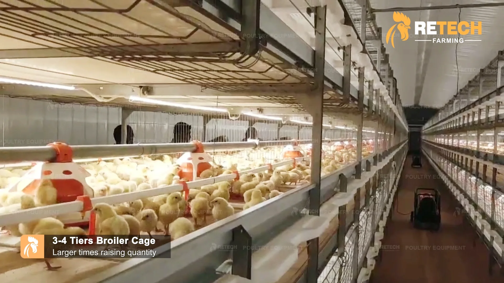 Fully Automated Tunnel Ventilated Broiler Poultry Farm House Multitier