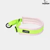 Pink-Green