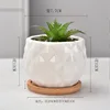 Pineapple pot