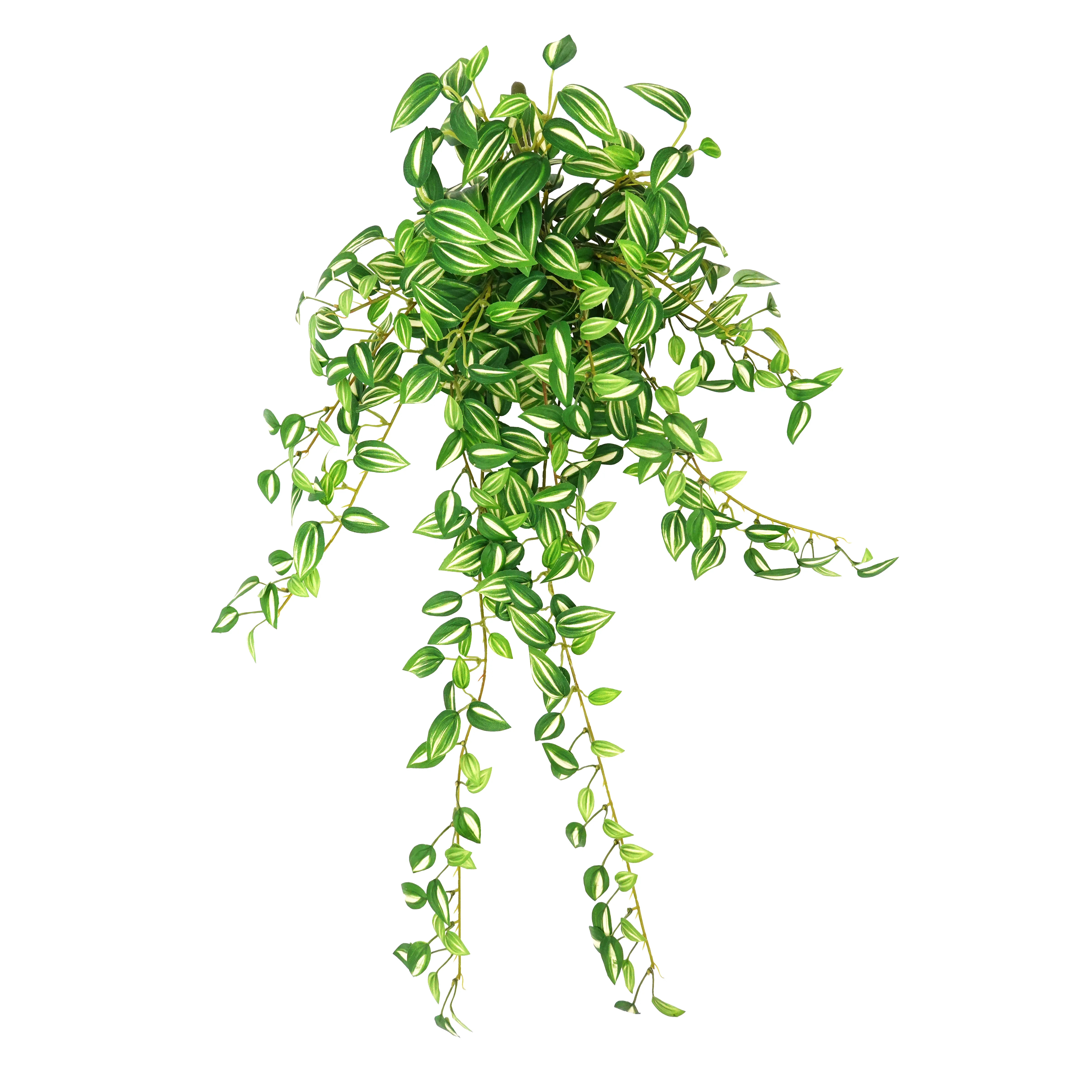 27" Tradescantia Leaf Hanging Bush[el91116] Buy Tradescantia Leaf
