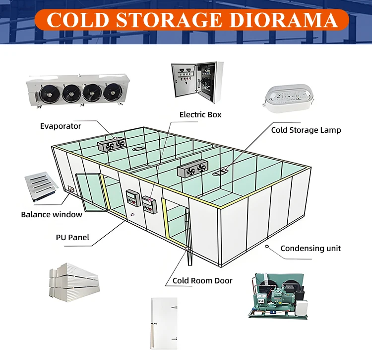 Cold Room Storage Cold Chain Equipment for Vegetable factory