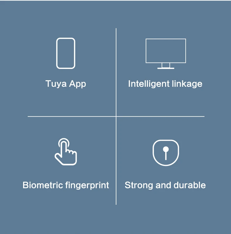 Product Introduction