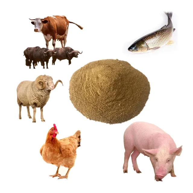 chicken layer feed fish meal   65%